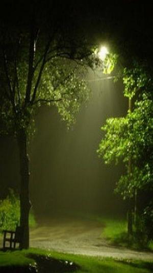 After_Rain.jpg Mixed