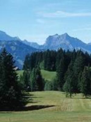 0002Nature.jpg Nature