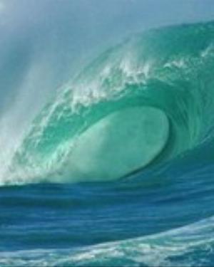 0002nature.jpg Nature