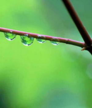 00030Nature.jpg Nature