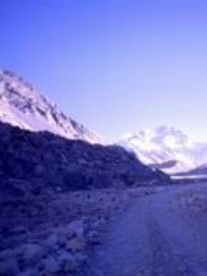 0004Nature.jpg Nature