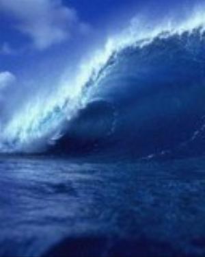 0004nature.jpg Nature