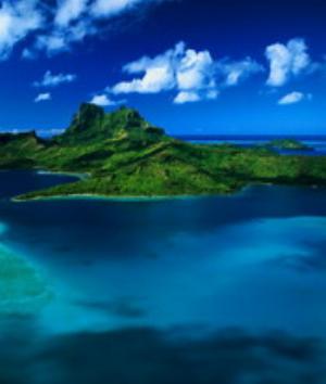 00060Nature.jpg Nature