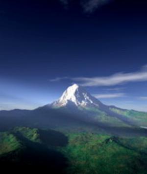 00080Nature.jpg Nature