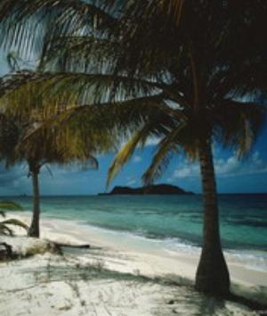 00100Nature.jpg Nature