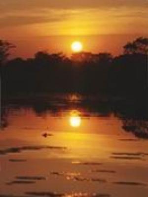 0010Nature.jpg Nature