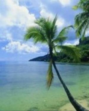 0010nature.jpg Nature