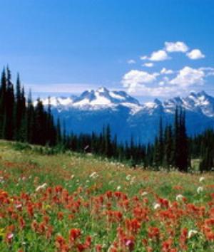 00110Nature.jpg Nature