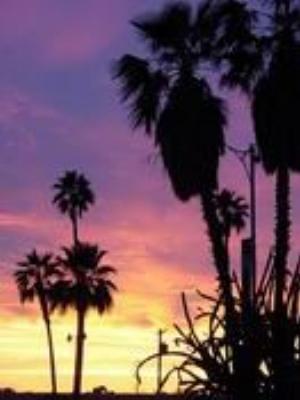 0011Nature.jpg Nature