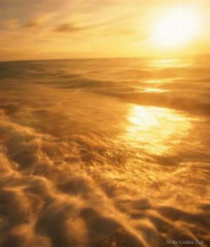 00120Nature.jpg Nature