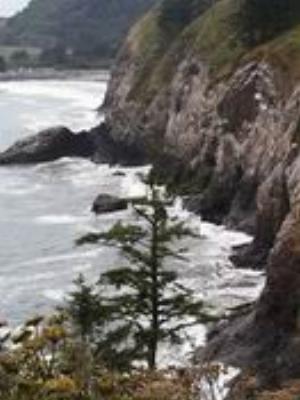 0012Nature.jpg Nature