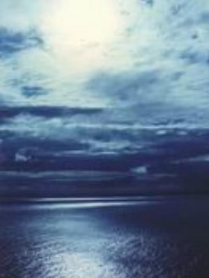 0013Nature.jpg Nature