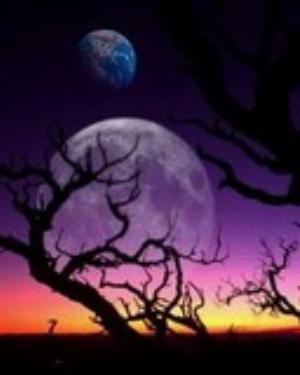 0013nature.jpg Nature