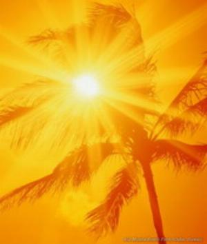 00140Nature.jpg Nature