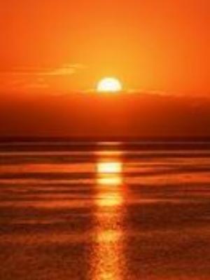 0015Nature.jpg Nature