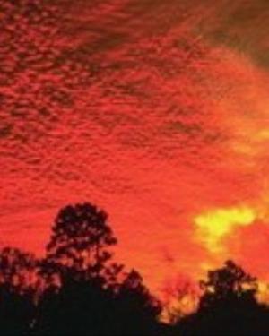 0015nature.jpg Nature