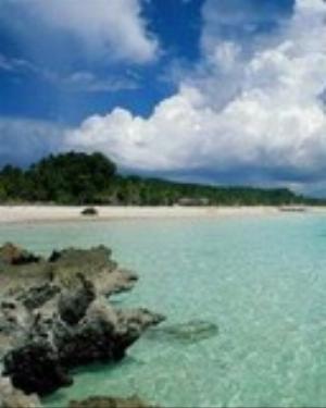 0016nature.jpg Nature