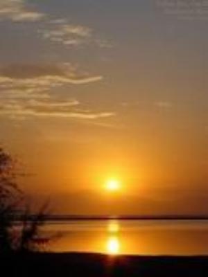 0017Nature.jpg Nature