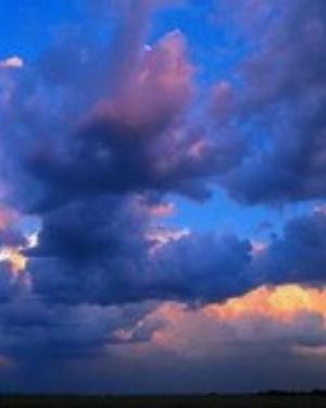 0017nature.jpg Nature