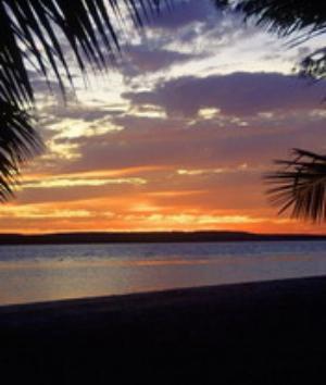 00180Nature.jpg Nature