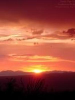 0018Nature.jpg Nature