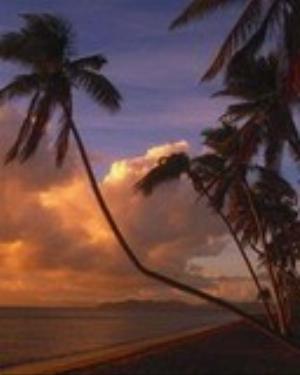 0018nature.jpg Nature