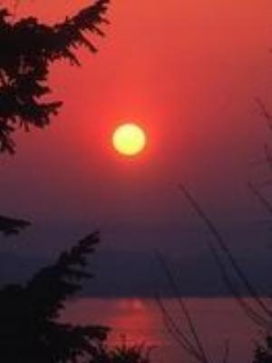 0023Nature.jpg Nature