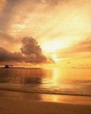 0024nature.jpg Nature