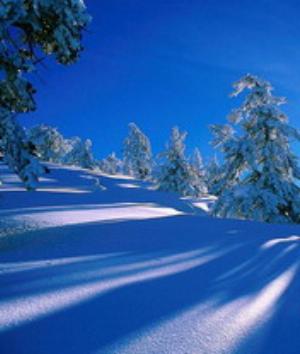 00280Nature.jpg Nature