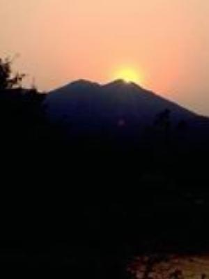 0028Nature.jpg Nature