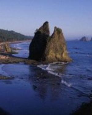 0028nature.jpg Nature