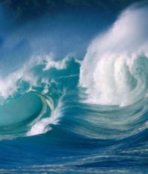 00300Nature.jpg Nature