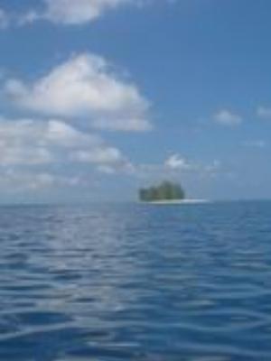 0030Nature.jpg Nature