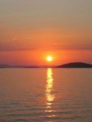 0031Nature.jpg Nature