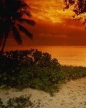 0032nature.jpg Nature