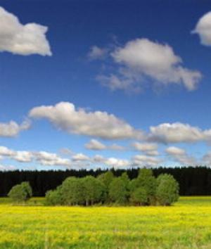 00330Nature.jpg Nature