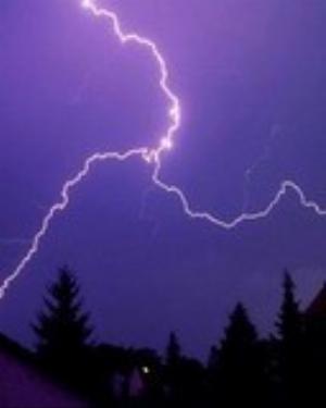 0033nature.jpg Nature