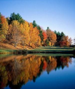 00340Nature.jpg Nature