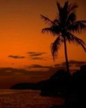 0034nature.jpg Nature