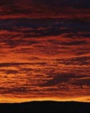 0035nature.jpg Nature