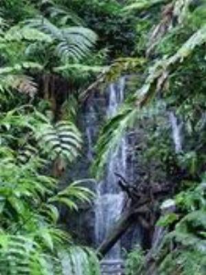 0036Nature.jpg Nature