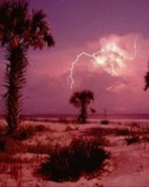 0036nature.jpg Nature