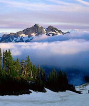 00380Nature.jpg Nature