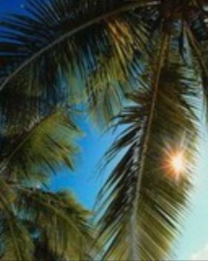 0038nature.jpg Nature