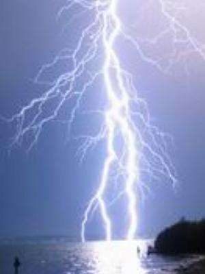 0039Nature.jpg Nature