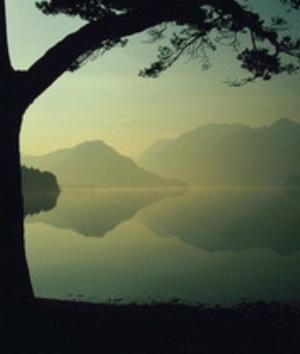 00420Nature.jpg Nature