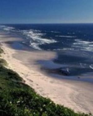 0042nature.jpg Nature