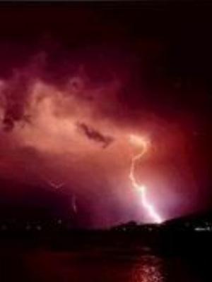 0043Nature.jpg Nature