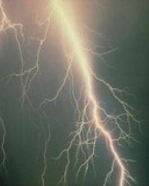 0043nature.jpg Nature