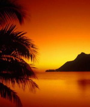 00440Nature.jpg Nature